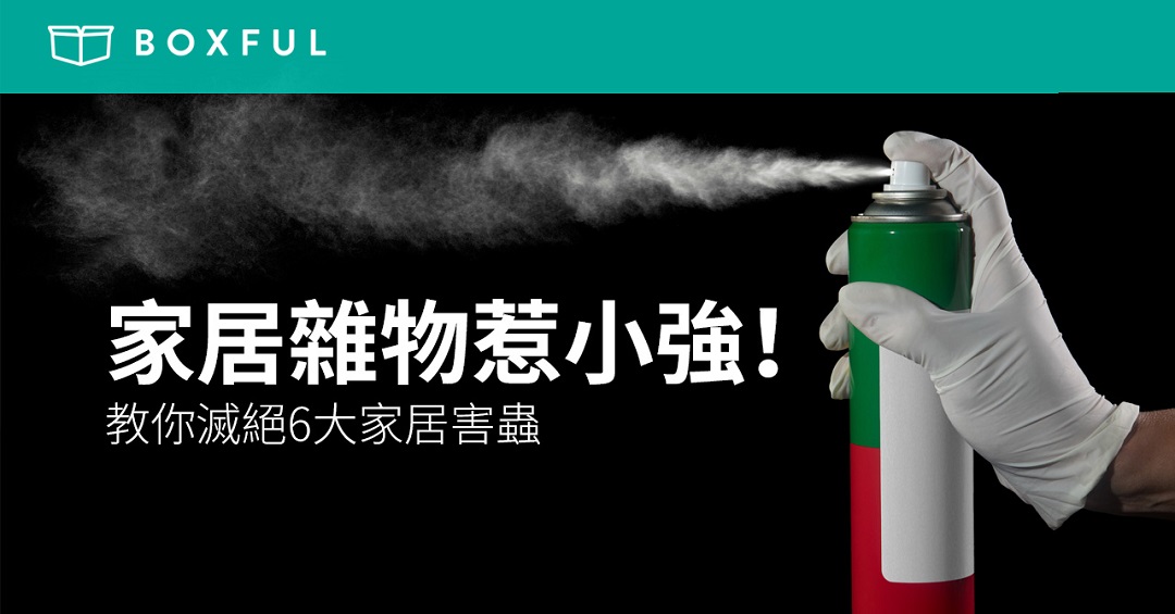 【家居雜物惹小強！】教你滅絕6大 家居害蟲